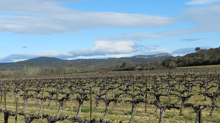 le pieds des cévennes